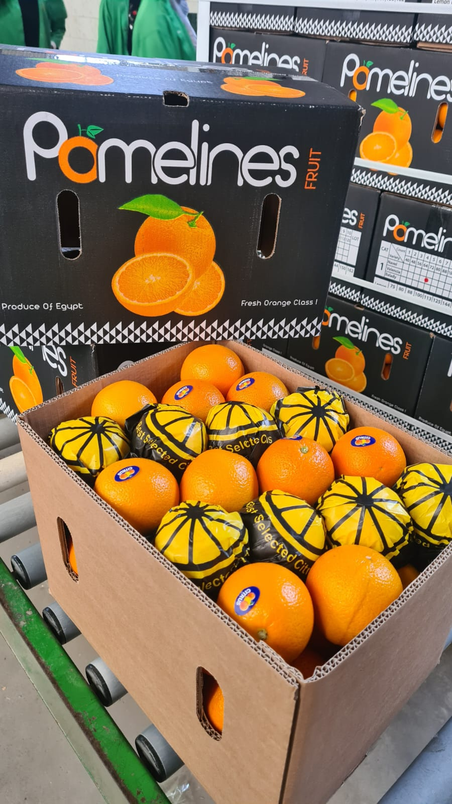 This image for Image Layouts addon